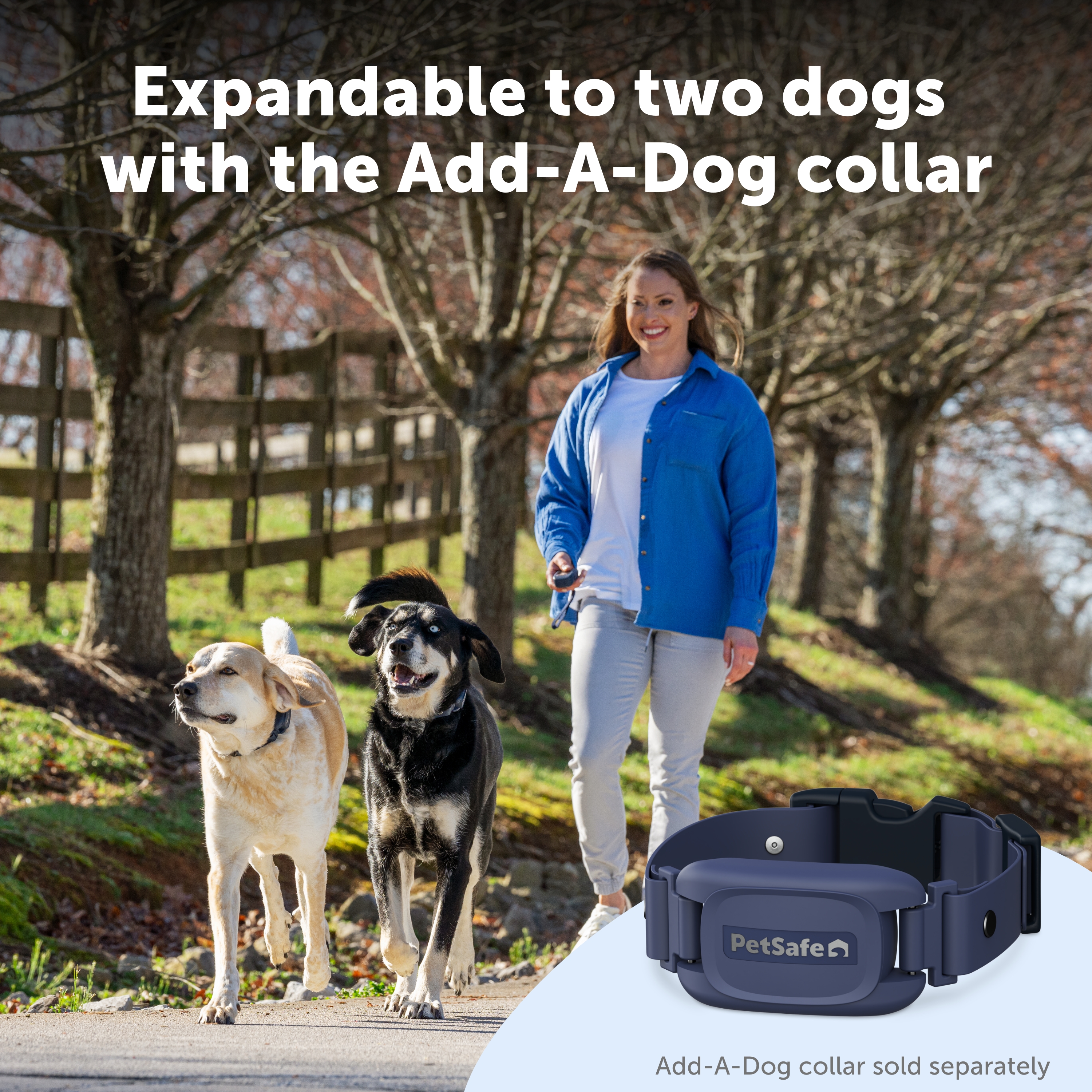 PetSafe Hondentrainer Pro met Afstandsbediening